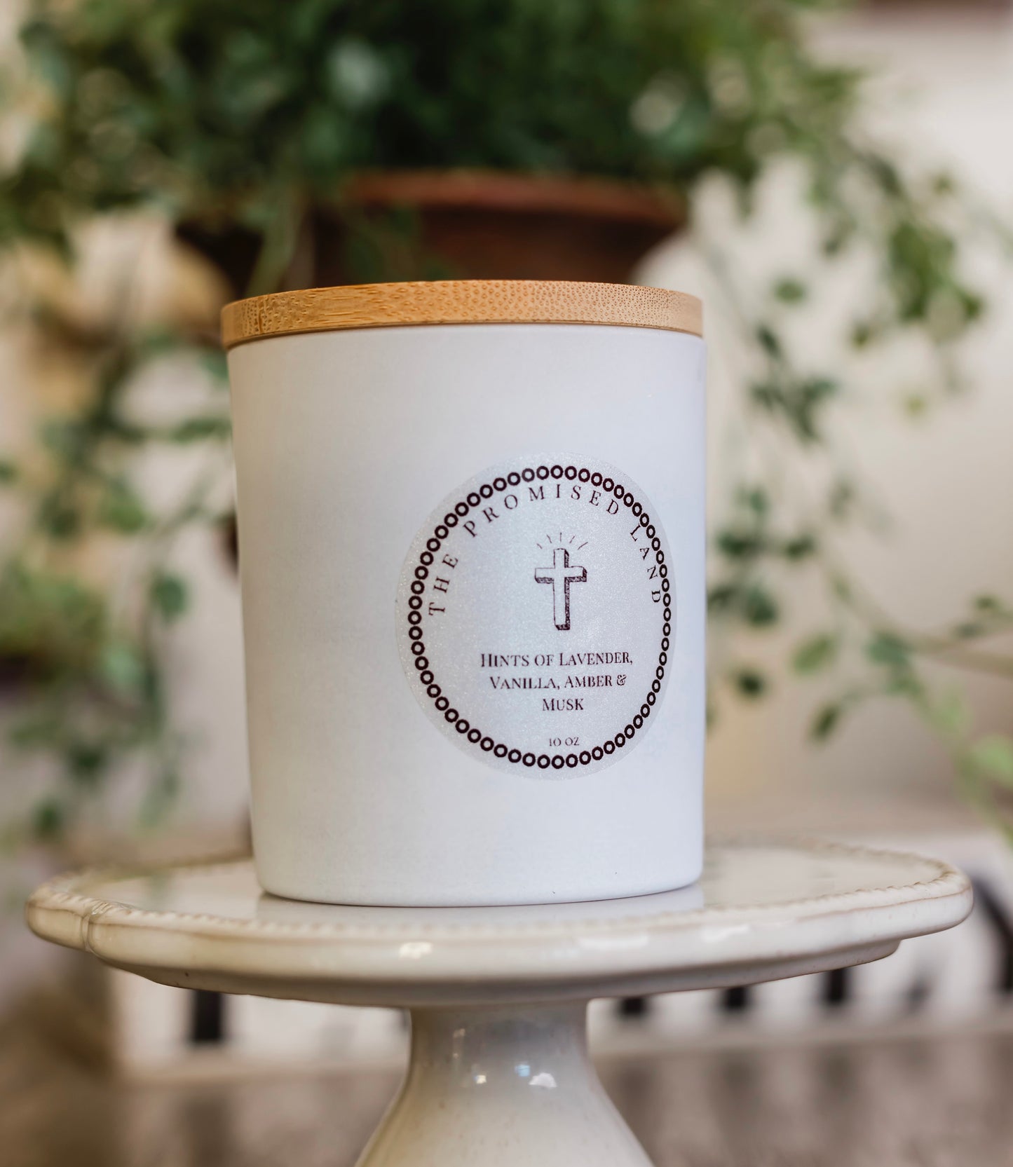 (Candle Club 6) The Promise Land